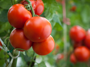 bob综合体育登录:海利尔召开业绩说明会详解多维战略布局：经营盘面、AI赋能、项目推进、海外拓展、服务配套